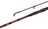 Delphin AMULET Spin Angelrute 2,4 m 30 g 2 Teile Produktbild-Vorschau 1