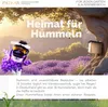 PATKAR® Hummelhaus Hummelkasten [EXTRA STABIL] - Produktbild-Vorschau 6