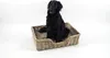 Kosz dla psa sofa PUPPY z rattanu szary 81x62x21 cm z Podgląd zdjęcia produktu 2