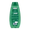Schauma Volumen Shampoo, 400 ml - Professionelle Haarpflege Produktbild-Vorschau 2