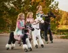 Cavallo da equitazione in linea Ponnie Domino S con sella Anteprima dell’immagine prodotto 6