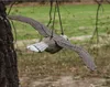 A fake bird of prey is hanging from a string, suspended from a tree branch, with a blurred background of grass and trees. Náhled obrázku produktu