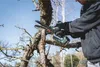 Metabo 600856850 Gehölzsäge ohne Akku, ohne Ladegerät Produktbild-Vorschau 3