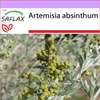 SAFLAX - vermút - Artemisia absinthum - 500 Semená Náhľad obrázku produktu 9