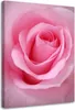 Leinwandbild rosa rosenblätter blume 60x90 cm Feeby rosa Produktbild-Vorschau 1