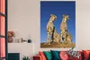 MuchoWow® Poster Wilde Geparden 120x180 cm - Kunstposter Produktbild-Vorschau 3