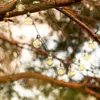 A string of solar-powered LED light bulbs hangs from a tree branch. Anteprima dell’immagine prodotto