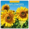 Sunflowers - Sonnenblumen 2027 - 16-Monatskalender Produktbild-Vorschau 1