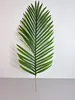 Deko-dadelpalmblad, 84 cm – Natuurgetrouw en flexibel Productafbeelding-voorbeeld 10