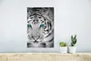 MuchoWow® Poster Tiger - Kopf - Augen 20x30 cm - Produktbild-Vorschau 5