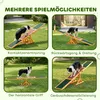 PawHut Altalena per cani Altalena per agility Giocattolo Anteprima dell’immagine prodotto 6