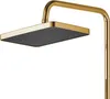 A close-up shot of a gold shower head with a black spray plate. Anteprima dell’immagine prodotto