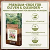 Green Home Olivenbaum- & Oleandererde 72L - Pflanzerde für Produktbild-Vorschau 2