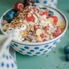 Bio Leinsamen geschrotet 1 kg Produktbild-Vorschau 6