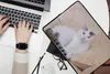 MuchoWow® Laptop Hülle 14 ZollKatze - Weiß - Bank - Mädchen Produktbild-Vorschau 2