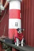 TRIXIE Hundemantel Minot - rot Produktbild-Vorschau 6