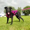 Dingo Hundegeschirre Sled Große L Farbe Rosa Zuggeschirr Produktbild-Vorschau 9