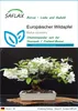 SAFLAX - Europäischer Wildapfel - Malus sylvestris - 30 Produktbild-Vorschau 1