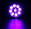 Mini lampe de poche détecteur d'UV alliage d'aluminium noir Voir les images du produit 6