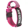 Collare per cani Julius K9 40 mm 38-53 cm Rosa Anteprima dell’immagine prodotto 1