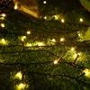 YUENFONG 50m lampki choinkowe LED 500LED ciepły biały - Podgląd zdjęcia produktu 6
