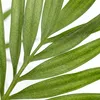 Dypsis Lutescens, Goldfruchtpalme, Palme, 100-120 cm, Topf Produktbild-Vorschau 6