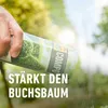 COMPO Algenkalk für Buchsbäume 1 kg Produktbild-Vorschau 9