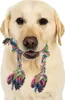 A close-up of a yellow Labrador Retriever dog holding a colorful rope toy in its mouth. Náhled obrázku produktu