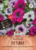 SPERLI Petuniensamen Superbissima Mix Petunia x hybrida 15 Produktbild-Vorschau 1