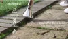 Herzberg HG-6007: sgrassatore termico elettrico a filo, Anteprima dell’immagine prodotto 14