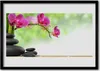 Bild 100x70 MDF-Rahmen Wandkunst Shoots Bamboo Zen Stone Produktbild-Vorschau 1