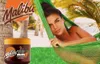 Malibu Lotion solaire à effet bronzant SPF2, 300ml Voir les images du produit 5