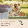 Floranica dřevěný obrubník záhonu 40 x 200 cm stříbrný Náhled obrázku produktu 6