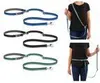 Ruffwear Switchbak Multifunktions-Hundeleine Crux Clip Produktbild-Vorschau 7