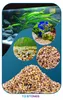 Ghiaia acquario quarzo ambra 2 kg, granulometria 2-3 mm, Anteprima dell’immagine prodotto 11