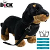Carl Dick Teckel debout noir avec laisse env. 30cm de long, Voir les images du produit 7