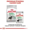 Royal Canin CCN Digestive Care 12x85g Nassfutter Pastete Produktbild-Vorschau 6