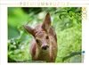CALVENDO Puzzle Sanftes Rehkitz 2000 Teile Puzzle quer | Produktbild-Vorschau 1