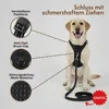 Hundegeschirr, Anti-Zieh-Geschirr, Anti-Zieh Hundegeschirr Produktbild-Vorschau 4