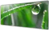 Acrylglasbilder 125x50 Wandbild Druck Gras Tautropfen Produktbild-Vorschau 1