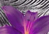Akustikbild Buddha 200x100 cm Bilder Akustikschaum Produktbild-Vorschau 2