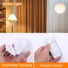A collage showing a lamp in a room, a detachable charging base for a light bulb, and a remote control. Voir les images du produit