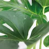 Bloomique - Monstera Deliciosa - Fensterblatt - Produktbild-Vorschau 3