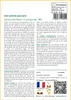 SAFLAX  - Sarracénie pourpre - 10 graines - Sarracenia Voir les images du produit 3