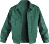 Jacke grün 100%Baumwolle Gr. 48 Produktbild-Vorschau 1