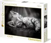 Clementoni Puzzle 39422 - Koťátko (1000 dílků) Náhled obrázku produktu 11