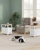 A dog rests on a rug in front of an armchair and two side tables, with a plant in the background. Náhled obrázku produktu
