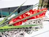 EUROPALMS List orchideje (EVA), umělý, zelený, 45 cm Náhled obrázku produktu 5