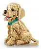 LEGO® Icons 11384 Golden Retriever Welpe Produktbild-Vorschau 17