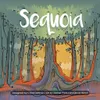 Sequoia - Kartenspiel - ENG Edition Produktbild-Vorschau 3